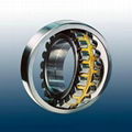 Aliging Roller Bearing