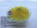 inorganic pigment/Nickle Titanium Yellow 1