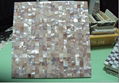 Pink Sea Shell Polished mosaic Fashion Table top countertop 1