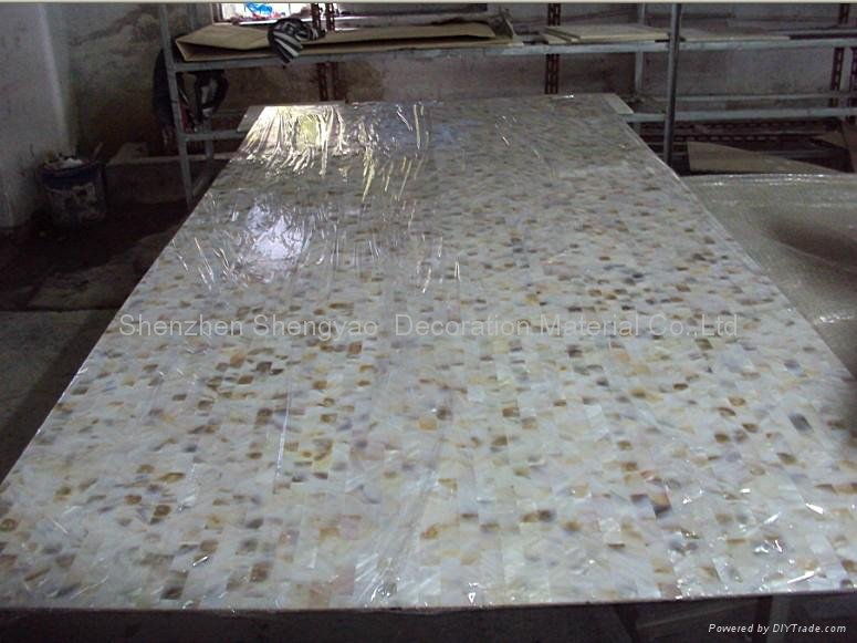 River shell mosiac tile floor tile wall tile 4