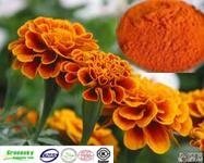 Selling Zeaxanthin from Marigold Extract