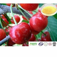 Selling Acerola Extract