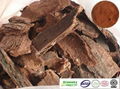 Selling Pine Bark extract