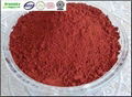 Selling Red Yeast Rice Extract