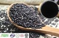 Selling Black Rice Extract