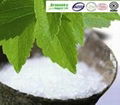 Selling Stevia Leaf Extract 1