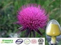 Selling Milk Thistle Extract 1