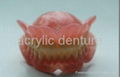 acrylic denture