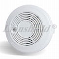 Standalone Ionic Smoke Detector(DC9V-12V) 1