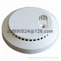 LS-828-10I Ionization smoke detector 1