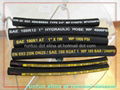 Sell Four wire spiraled hydraulic hose SAE J517 TYPE 100 R12 STANDARD  2