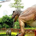 2013 exciting thme park 4D 5D cinema movie in good quality