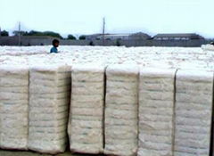 cotton bales