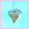 Cone Garden Hanging Basket