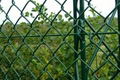 Chain link fence 1