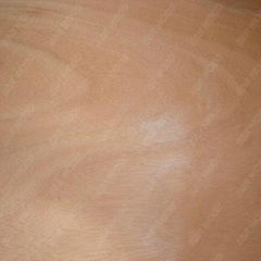 Rotary Cut Okoume Veneer