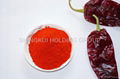 sweet paprika powder 2