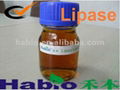 Feed Food Industry Lipase 3