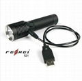 Ferei 2013 New model high power LED Flashlight 520/521 3