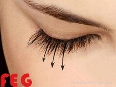 World First Class FEG Eyelash Enhancer Serum for lashes Growing longer