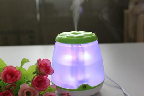 Four-leaf-clover Mini USB humidifier 2