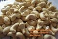 Vietnam cashew nuts for sell 4