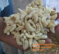 Vietnam cashew nuts for sell 5