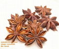 Vietnam star anise good price 1