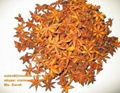 Vietnam star anise good price 2