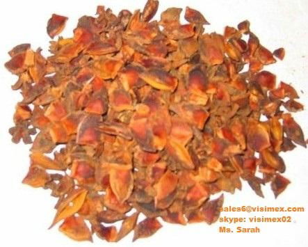 Vietnam star anise good price 3