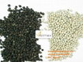 Vietnam black and white pepper for sell  1