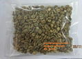 Vietnam coffee bean robusta and arabica for sell  5