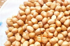 Vietnam peanuts for sell