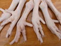 CHICKEN FEET