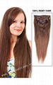 silky straight clip in human hair extensions 3