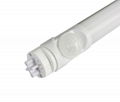 LED tube light 1