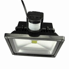 LED Flood light