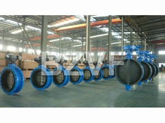 Zhejiang Beize Valve Manufacturing Co.,Ltd