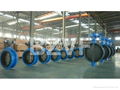 Butterfly Valve for Oil and Gas 1