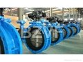 Butterfly Valve for Oil and Gas 2