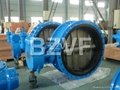 Butterfly Valve for Oil and Gas 4