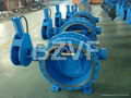 Butterfly Type Check Valve 2