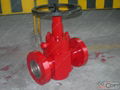 API 6A/6D valves 1