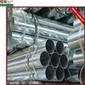 Galvanized steel pipe 3