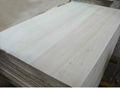 paulownia elge glued board 3