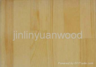 pine finger jionted board for furniture or plywood 2