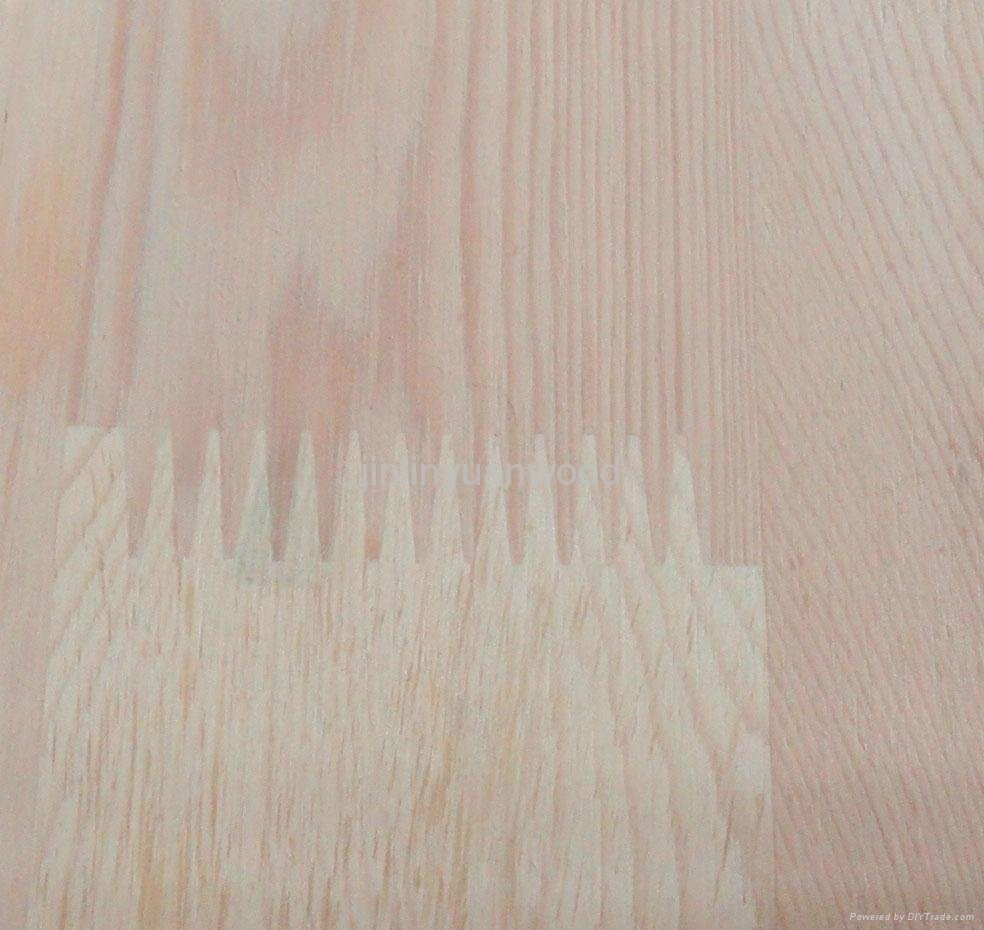 pine finger jionted board for furniture or plywood 3