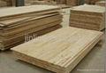 chinese fir finger jionted plank for