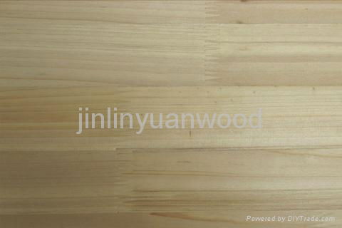 chinese fir finger jionted plank for plywood 3