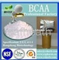 BCAA Sports Nutrition Supplements